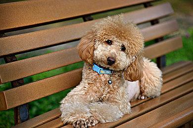 超能力吃鸡《超击突破》时隔1年起死回生 6月开启beta测试